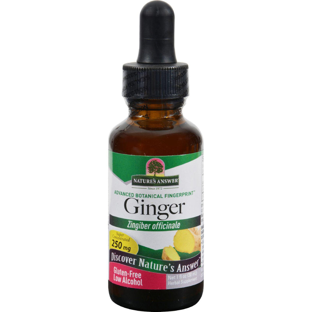 Nature's Answer Ginger Root Extract - 1 Fl Oz