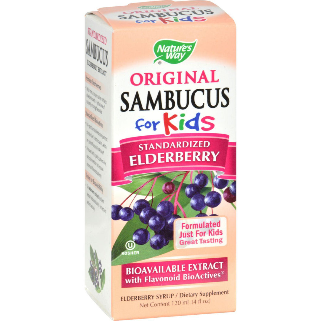 Nature's Way Original Sambucus For Kids - Standardized Elderberry - 4 Fl Oz